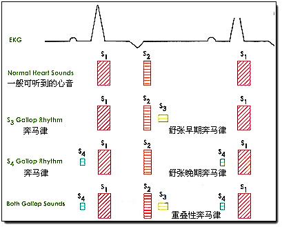 奔馬律|奔馬律:介紹,分類,